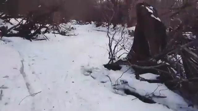 Бег по реке. Ilya Moroz. смотреть онлайн