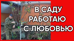 209. Осенние работы в саду в Краснодарском крае/Переехали на юг России