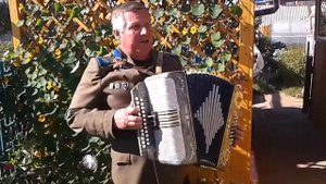 Елизавета военная песня (  гармонь)