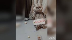 Делаем кота Басика из пластилина.Мастер класс, все легко и просто! ?