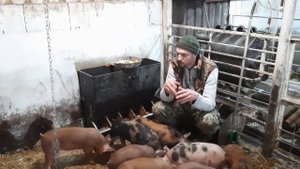 //Мини Поросята Петрен+Дюрок в квадрате,чем кормлю,как живут//