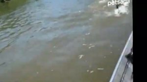 мужик выпал из лодки