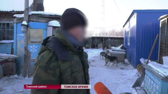 Зоозащитники нагрянули в приют для собак и были шокированы