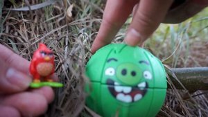 Видео с крашиками Энгри Бердс. Крашик Свин открывает Киндер сюрпризы