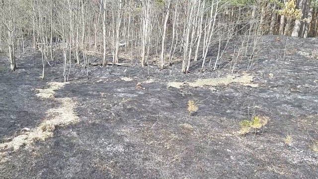 Под тверью сгорело три дома смотреть онлайн