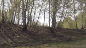 Стал новым жителем деревни Батурино в Томской области. Купили участок в Батурино. Рыбалка на окуня.