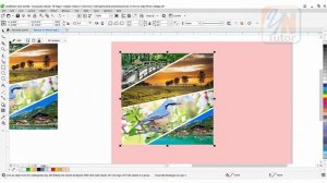 Create Stylish Photo Collage in Corel Draw Exercise No. 41 | YN Tutor