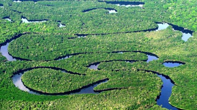 10 ФАКТОВ О РЕКЕ АМАЗОНКЕ смотреть онлайн