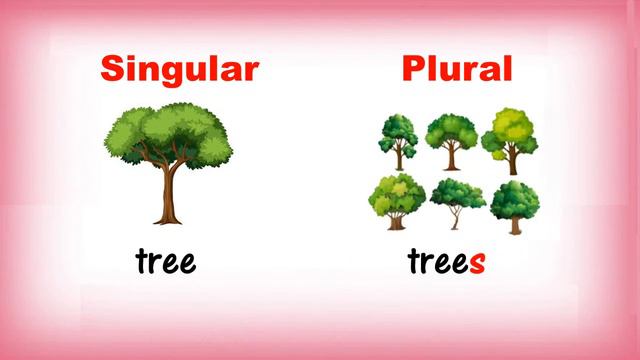 Singular and Plural Nouns | Class 1 | CBSE