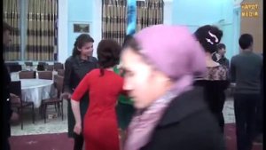 хоразим никох туйи