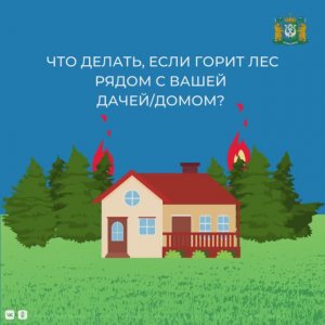 Что делать, если горит лес рядом с дачей или домом