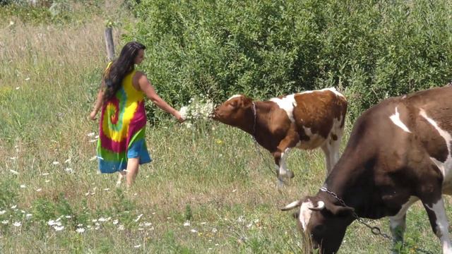 "Россия, травы по пояс". Поёт - Юлия Юткина Югорск. смотреть онлайн