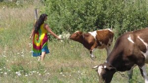 "Россия, травы по пояс". Поёт - Юлия Юткина Югорск.