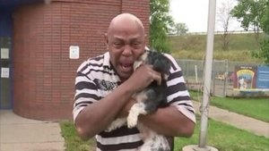 Хозяин бежал за угнанной машиной и плакал — в ней осталось самое ценное, его любимая собака.