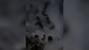 Азовское море сейчас