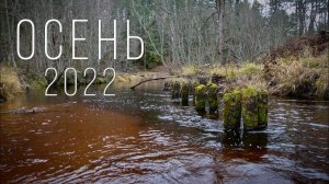 Осень 2022, итоги конкурса.