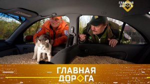 Способы высушить салон авто, BMW X3 vs Mercedes GLK и безнаказанный виновник ДТП | «Главная дорога»