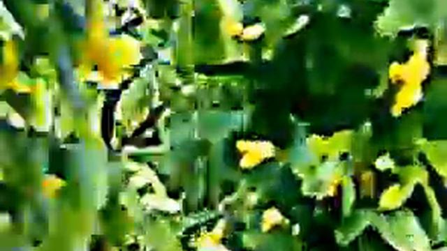 начало сезона 2011.mp4 смотреть онлайн