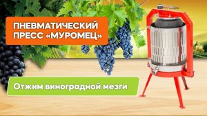 Пресс для отжима (отжим виноградной мезги)