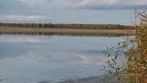 27 сентября 2023 г. Озеро Горькое (Хомутинино) - одно из пяти целебных Хомутининских озёр.