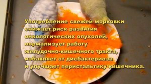 Морковка волнистым попугайчикам, все о пользе.