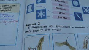 Проверяю рабочие тетради по окружающему миру
