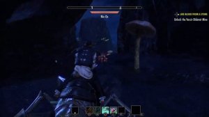 ESO Morrowind, New player