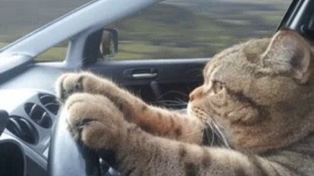 валим валим