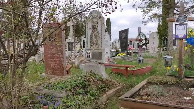 С мамой на кладбище ! Поехали красить лавочку