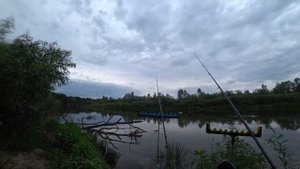 КЛЮЕТ! Рыбалка на реке СУРА с ночевкой на фидер