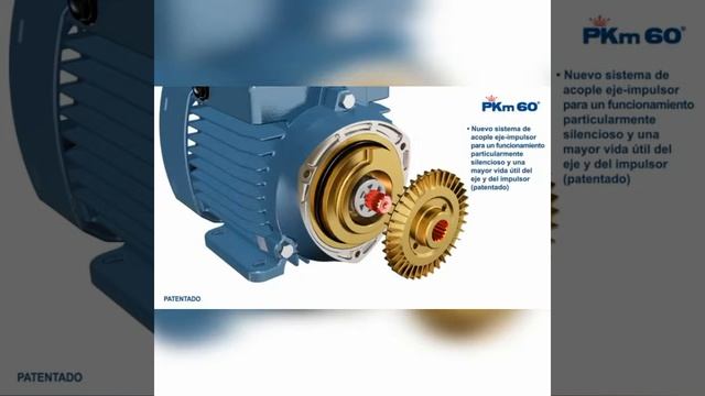 Electrobomba Periférica Pedrollo Modelo Pkm смотреть онлайн