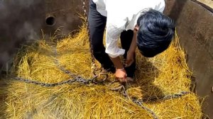 Как делают эфирное масло из эфирно-масличных растений