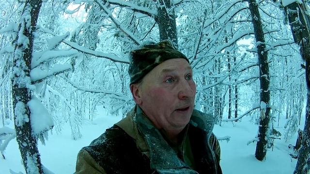 Очередная куница попалась в ящик.