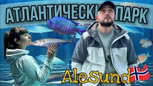 КАК ВЫГЛЯДИТ БОЛЬШОЙ АКВАРИУМ | ОКЕАНАРИУМ В ОЛЕСУННЕ | НОРВЕГИЯ