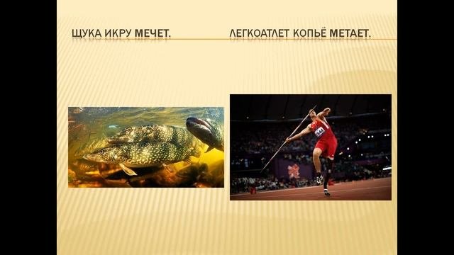 Интересные факты о глаголе.