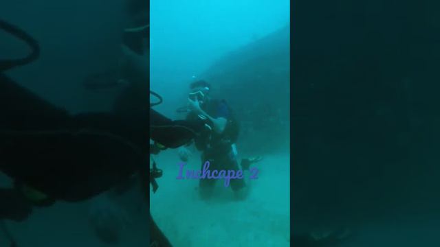 inchcape 2 wreck dive #diving #underwater #ocean #fujairah