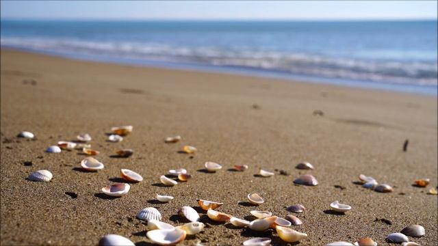 music for meditation, relaxing sleep music, sea wave. ЛУЧШАЯ релакс музыка, морской пляж смотреть онлайн