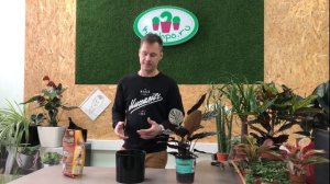 Пересадка без риска - Калатея и Zeoflora