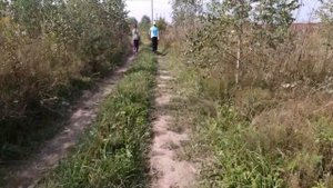 Добываем муравьиную кислоту у муравьев и пробуем на вкус.