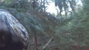 Охота на бобра с ружьем, Старею... Молодняк не стреляю! Hunting for beaver.