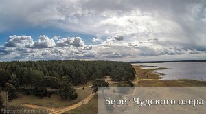 Берег Чудского озера. Гдовский район Псковской области. Аэросъемка