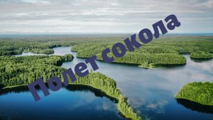 Кенозерский национальный парк с высоты птичьего полета