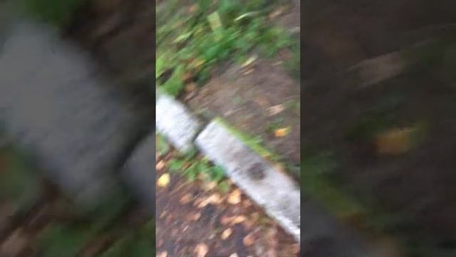 Чудо-грабли!!! смотреть онлайн