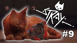 STRAY #9 / ФИНАЛ! ЗДРАВСТВУЙ, АУТСАЙД!