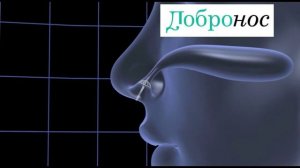 Принцип действия фильтров для носа - Добронос Комфорт от пыли и аллергенов