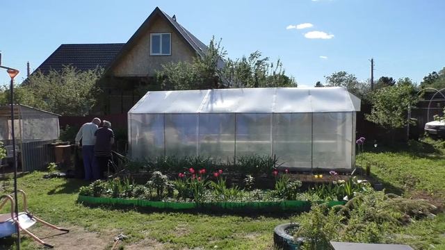 ?ЛУЧШЕЕ ПРИТЕНЕНИЕ ПОЛИКАРБОНАТНОЙ ТЕПЛИЦЫ / УКРЕПЛЯЕМ ПОЛИКАРБОНАТ НА ТЕПЛИЦЕ. смотреть онлайн