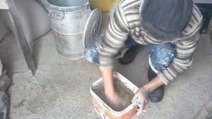 Кормим молодок ломан браун, 5 месяцев