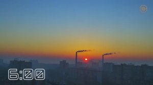 Как выглядит схема циркадных ритмов?