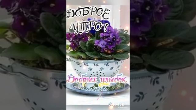 С добрым утром понедельника!! смотреть онлайн
