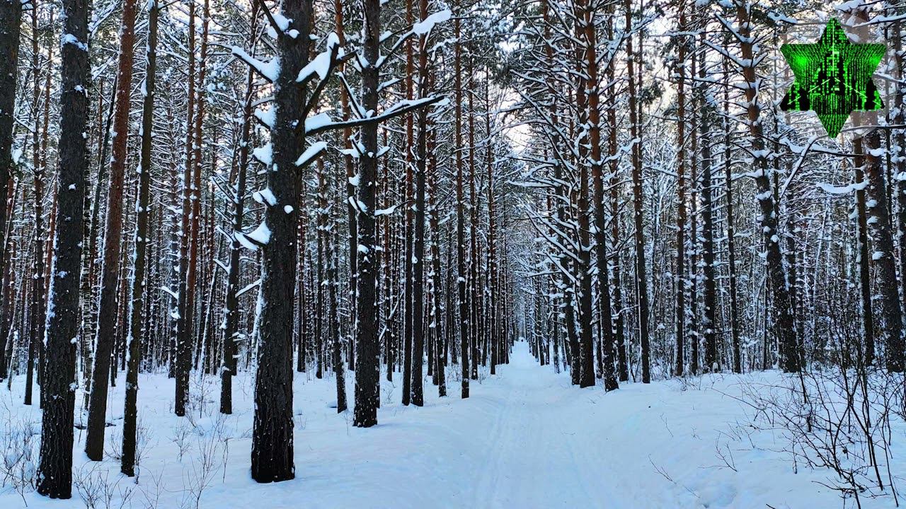 Грай - Лучшие песни смотреть онлайн